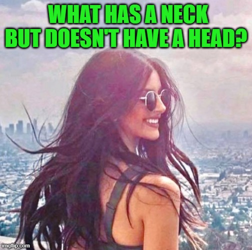 WHAT HAS A NECK BUT DOESN'T HAVE A HEAD? | image tagged in riddle | made w/ Imgflip meme maker