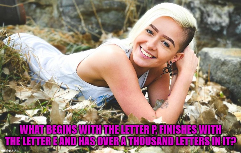 WHAT BEGINS WITH THE LETTER P, FINISHES WITH THE LETTER E AND HAS OVER A THOUSAND LETTERS IN IT? | image tagged in riddle | made w/ Imgflip meme maker