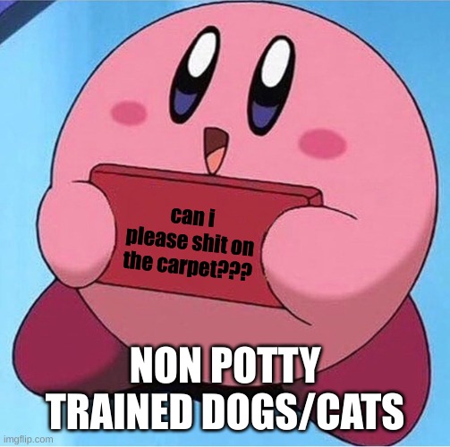 can i please s*** on the carpet??? |  can i please shit on the carpet??? NON POTTY TRAINED DOGS/CATS | image tagged in kirby holding a sign | made w/ Imgflip meme maker