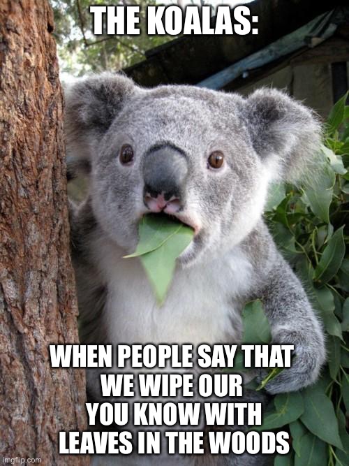 Surprised Koala Meme | THE KOALAS:; WHEN PEOPLE SAY THAT 
WE WIPE OUR 
YOU KNOW WITH
LEAVES IN THE WOODS | image tagged in memes,surprised koala | made w/ Imgflip meme maker