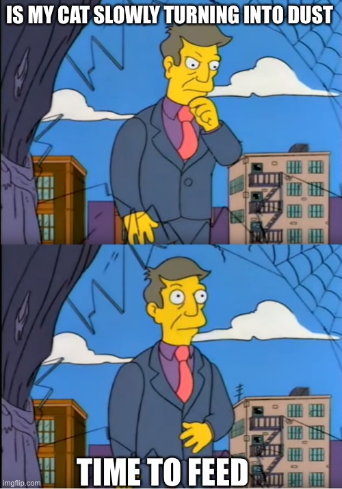 Skinner Out Of Touch | IS MY CAT SLOWLY TURNING INTO DUST; TIME TO FEED | image tagged in skinner out of touch | made w/ Imgflip meme maker