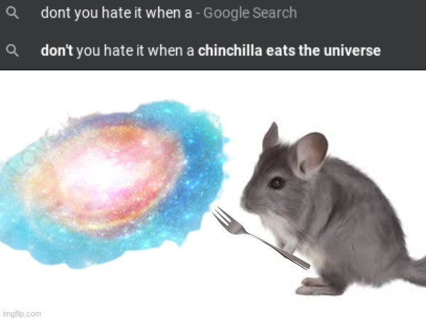 wgat | image tagged in dont you hate it when,google search,chinchilla | made w/ Imgflip meme maker
