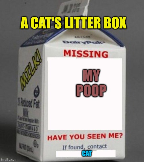 CAT POOP MEME | A CAT'S LITTER BOX; MY POOP; CAT | image tagged in milk carton | made w/ Imgflip meme maker