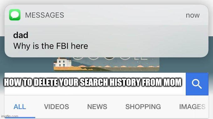 why is the FBI here? | HOW TO DELETE YOUR SEARCH HISTORY FROM MOM | image tagged in why is the fbi here | made w/ Imgflip meme maker