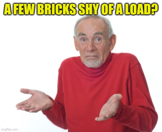 Guess I'll die  | A FEW BRICKS SHY OF A LOAD? | image tagged in guess i'll die | made w/ Imgflip meme maker