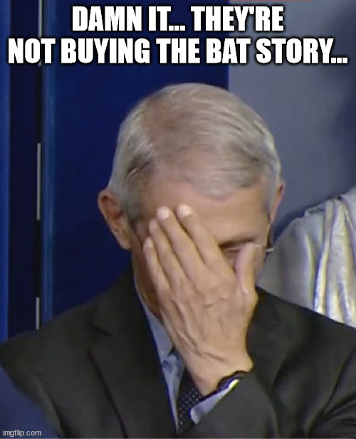 Dr Fauci | DAMN IT... THEY'RE NOT BUYING THE BAT STORY... | image tagged in dr fauci | made w/ Imgflip meme maker