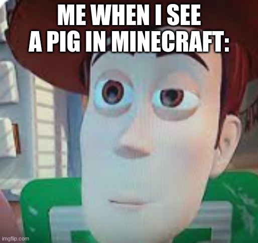 true | ME WHEN I SEE A PIG IN MINECRAFT: | image tagged in blank | made w/ Imgflip meme maker