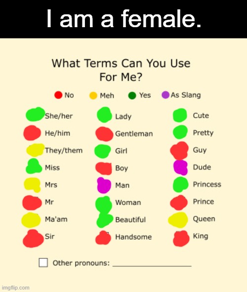 Ok now you know. | I am a female. | image tagged in pronouns sheet | made w/ Imgflip meme maker