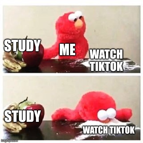 Studying be like: | STUDY; ME; WATCH TIKTOK; STUDY; WATCH TIKTOK | image tagged in elmo cocaine | made w/ Imgflip meme maker