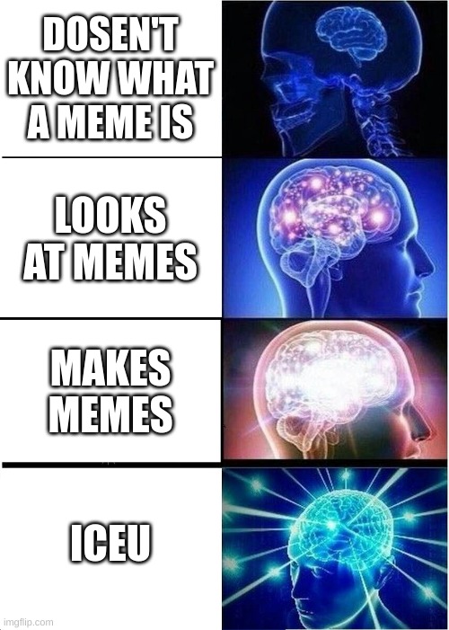 Expanding Brain Meme | DOSEN'T KNOW WHAT A MEME IS; LOOKS AT MEMES; MAKES MEMES; ICEU | image tagged in memes,expanding brain | made w/ Imgflip meme maker