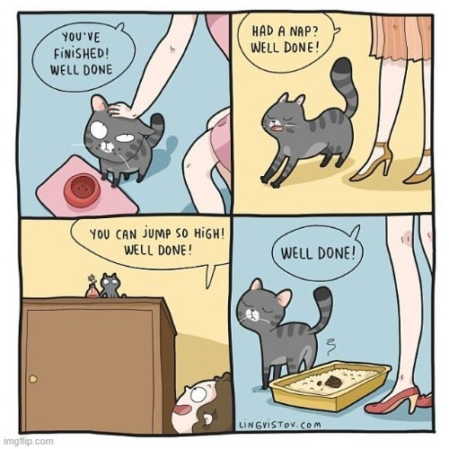 A Cat Lady's Way Of Thinking | image tagged in memes,comics,cats,the daily struggle,cat lady,well done | made w/ Imgflip meme maker