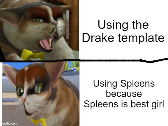 Spleens is best girl | Using the Drake template; Using Spleens because Spleens is best girl | image tagged in spleens drake template | made w/ Imgflip meme maker