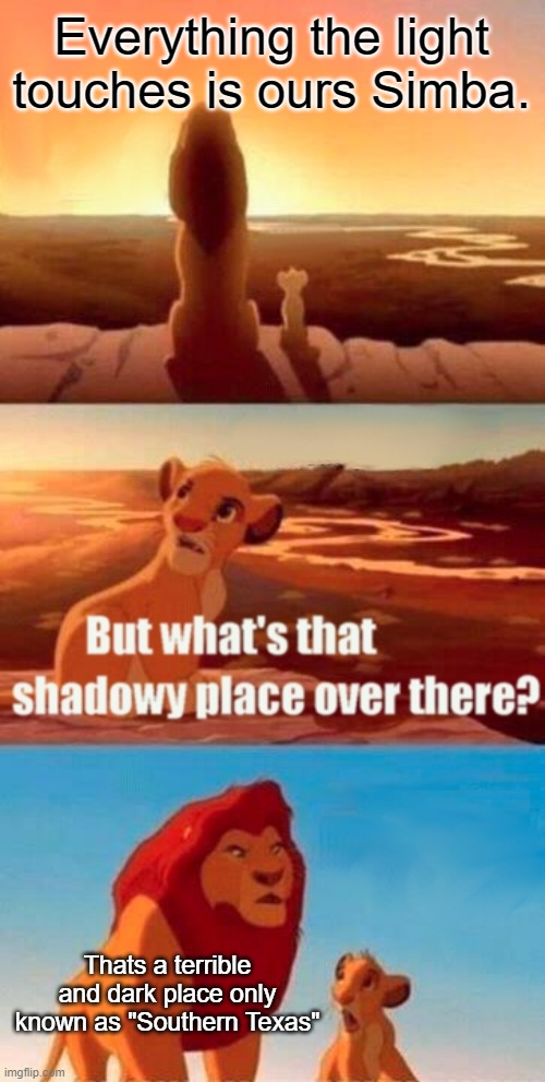 Real? | Everything the light touches is ours Simba. Thats a terrible and dark place only known as "Southern Texas" | image tagged in memes,simba shadowy place | made w/ Imgflip meme maker