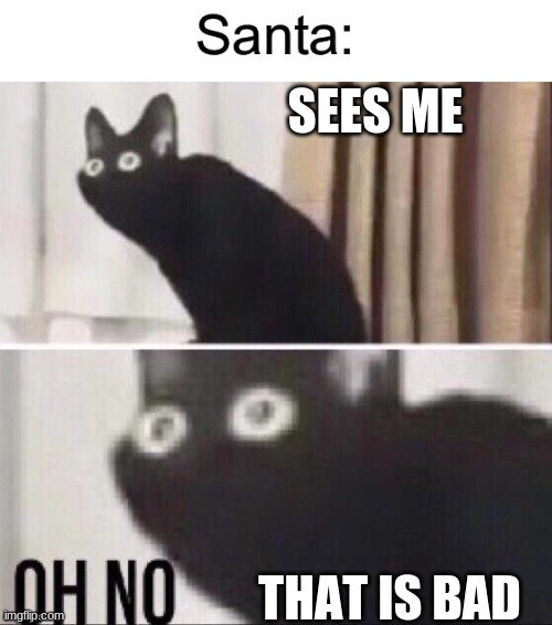 black cat | SEES ME; THAT IS BAD | image tagged in oh no black cat | made w/ Imgflip meme maker