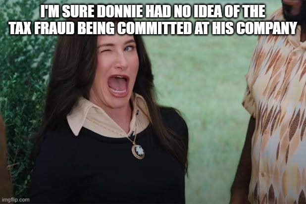 WandaVision Agnes wink | I'M SURE DONNIE HAD NO IDEA OF THE TAX FRAUD BEING COMMITTED AT HIS COMPANY | image tagged in wandavision agnes wink | made w/ Imgflip meme maker