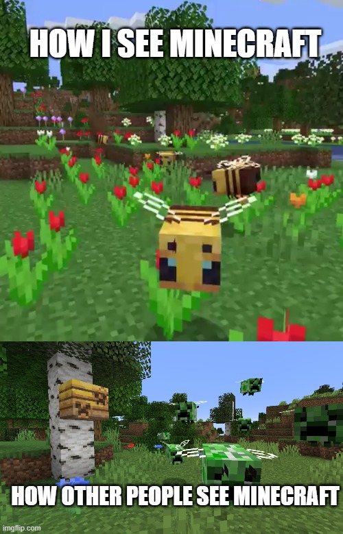 true though | HOW I SEE MINECRAFT; HOW OTHER PEOPLE SEE MINECRAFT | image tagged in minecraft bees,aww man | made w/ Imgflip meme maker