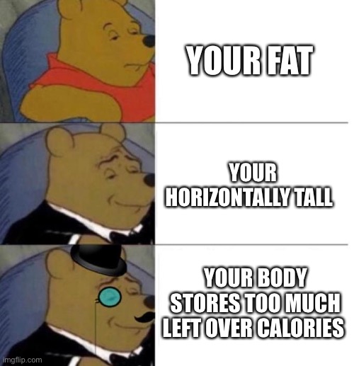 Tuxedo Winnie the Pooh (3 panel) | YOUR FAT; YOUR HORIZONTALLY TALL; YOUR BODY STORES TOO MUCH LEFT OVER CALORIES | image tagged in tuxedo winnie the pooh 3 panel | made w/ Imgflip meme maker
