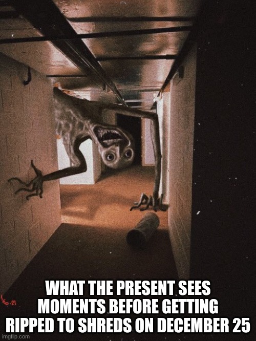 funny title | WHAT THE PRESENT SEES MOMENTS BEFORE GETTING RIPPED TO SHREDS ON DECEMBER 25 | image tagged in funny meme | made w/ Imgflip meme maker