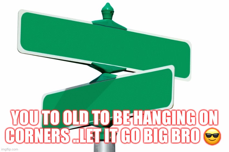Grow up | YOU TO OLD TO BE HANGING ON CORNERS ..LET IT GO BIG BRO 😎 | image tagged in blank street signs | made w/ Imgflip meme maker