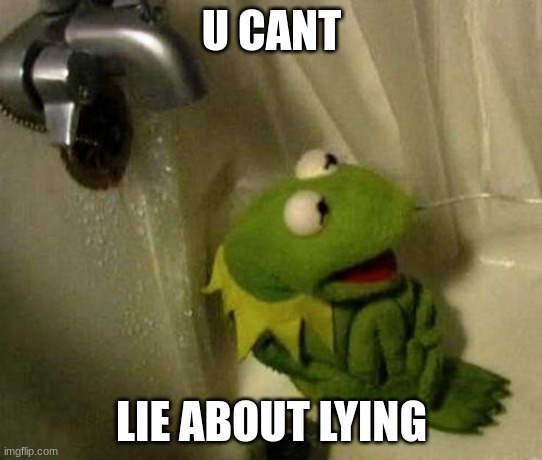 Kermit on Shower | U CANT; LIE ABOUT LYING | image tagged in kermit on shower | made w/ Imgflip meme maker
