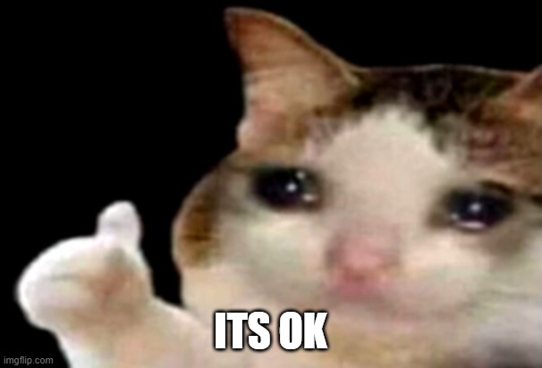Sad cat thumbs up | ITS OK | image tagged in sad cat thumbs up | made w/ Imgflip meme maker