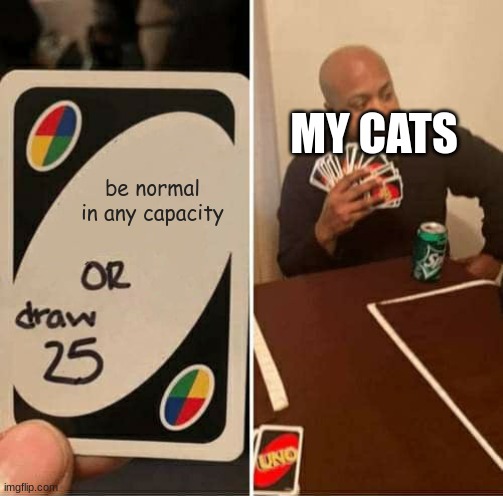 I have way too many cats | MY CATS; be normal in any capacity | image tagged in memes,uno draw 25 cards | made w/ Imgflip meme maker
