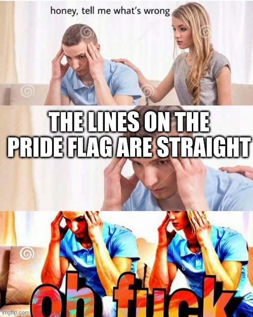 honey, tell me what's wrong | THE LINES ON THE PRIDE FLAG ARE STRAIGHT | image tagged in honey tell me what's wrong | made w/ Imgflip meme maker