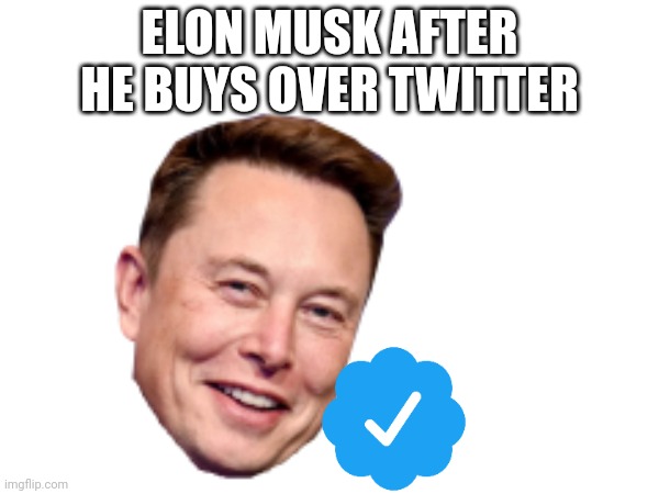 ELON MUSK AFTER HE BUYS OVER TWITTER | image tagged in true | made w/ Imgflip meme maker