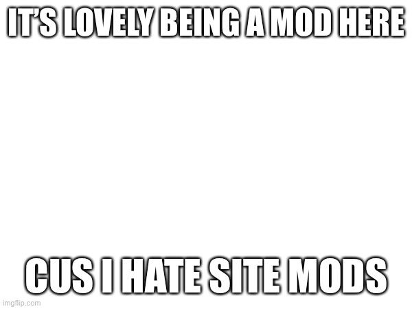 Hell yah | IT’S LOVELY BEING A MOD HERE; CUS I HATE SITE MODS | image tagged in memes | made w/ Imgflip meme maker