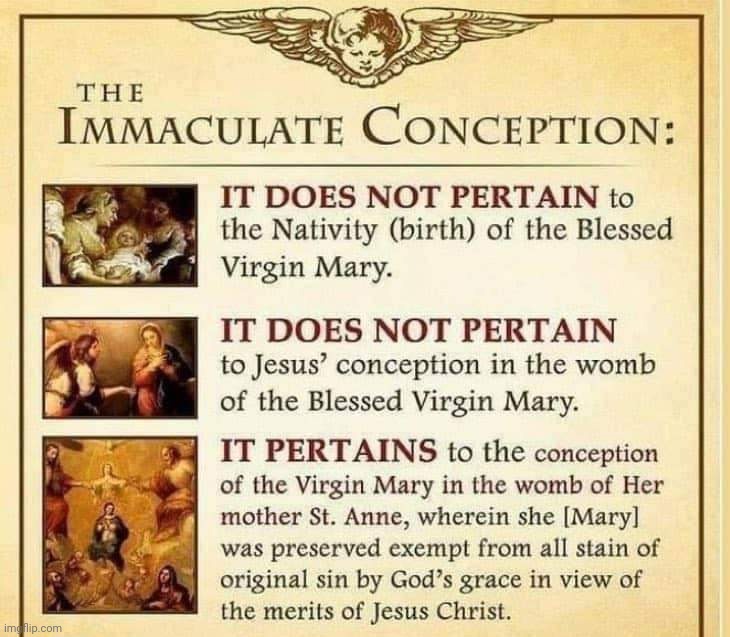 December 8 the Feast of the Immaculate Conception | image tagged in mary,catholic | made w/ Imgflip meme maker
