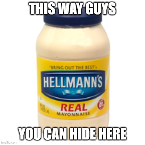 mayonnaise | THIS WAY GUYS YOU CAN HIDE HERE | image tagged in mayonnaise | made w/ Imgflip meme maker