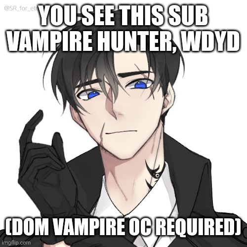 Dom vampire oc required, any gender | YOU SEE THIS SUB VAMPIRE HUNTER, WDYD; (DOM VAMPIRE OC REQUIRED) | image tagged in vampire,nsfw | made w/ Imgflip meme maker