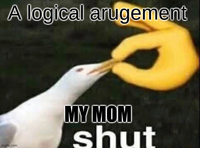 so true | A logical arugement; MY MOM | image tagged in shut | made w/ Imgflip meme maker