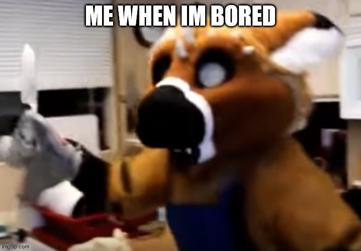 Furry with a knife | ME WHEN IM BORED | image tagged in furry with a knife | made w/ Imgflip meme maker