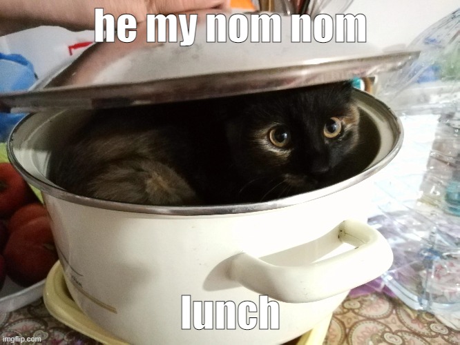 yummo | he my nom nom; lunch | made w/ Imgflip meme maker