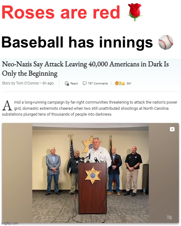 Sounds pretty bad ngl | Roses are red 🌹; Baseball has innings ⚾️ | image tagged in neo-nazis attack power station in north carolina,neo-nazis,nazis,bruh,bruh moment,certified bruh moment | made w/ Imgflip meme maker