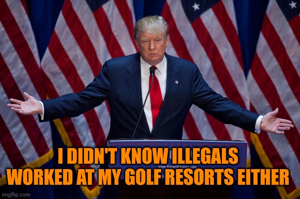 Donald Trump | I DIDN'T KNOW ILLEGALS WORKED AT MY GOLF RESORTS EITHER | image tagged in donald trump | made w/ Imgflip meme maker