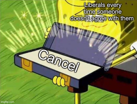 Spongebob box | Liberals every time someone doesn’t agree with them; Cancel | image tagged in spongebob box | made w/ Imgflip meme maker