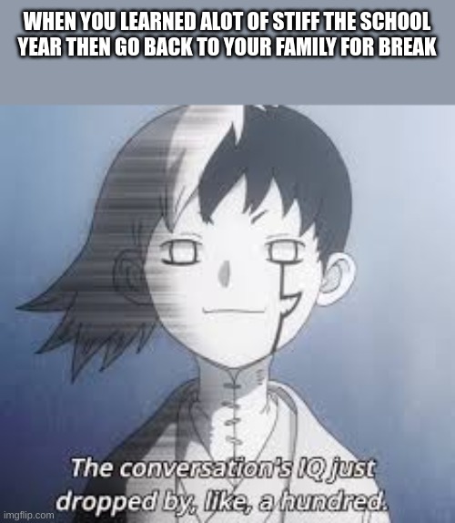 IQ dropped by like, 600 Million | WHEN YOU LEARNED ALOT OF STIFF THE SCHOOL YEAR THEN GO BACK TO YOUR FAMILY FOR BREAK | image tagged in iq dropped by like 600 million,dr stone | made w/ Imgflip meme maker