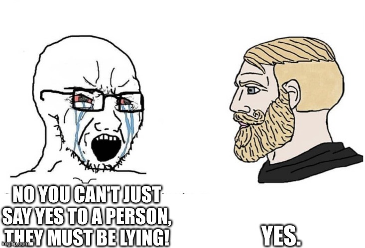 Soyboy Vs Yes Chad | NO YOU CAN'T JUST SAY YES TO A PERSON, THEY MUST BE LYING! YES. | image tagged in soyboy vs yes chad | made w/ Imgflip meme maker