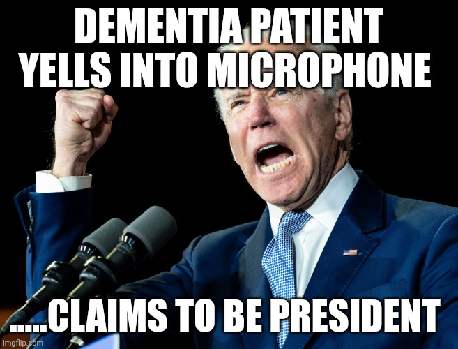 Just the facts baby..... | DEMENTIA PATIENT YELLS INTO MICROPHONE; .....CLAIMS TO BE PRESIDENT | image tagged in joe biden's fist | made w/ Imgflip meme maker