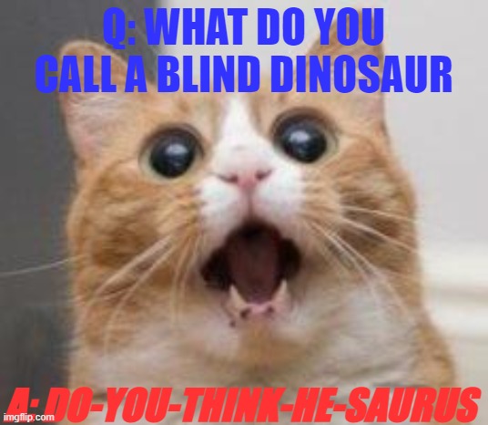 JustJoeKing tuaght me this one | Q: WHAT DO YOU CALL A BLIND DINOSAUR; A: DO-YOU-THINK-HE-SAURUS | image tagged in wow,dad joke | made w/ Imgflip meme maker