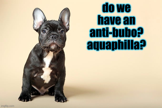 KSDawg | do we have an anti-bubo?
aquaphilla? | image tagged in ksdawg | made w/ Imgflip meme maker