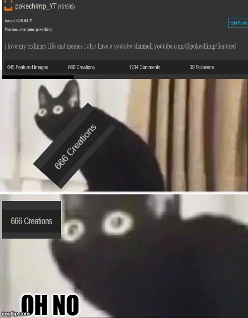 A SLANDER ABOUT MYSELF | OH NO | image tagged in oh no black cat | made w/ Imgflip meme maker