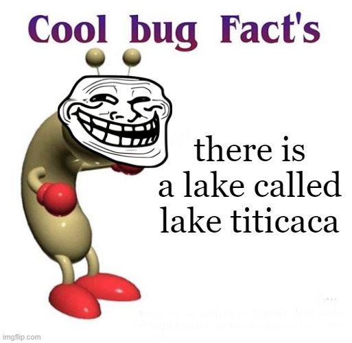 [clever title] | there is a lake called lake titicaca | image tagged in cool bug facts | made w/ Imgflip meme maker