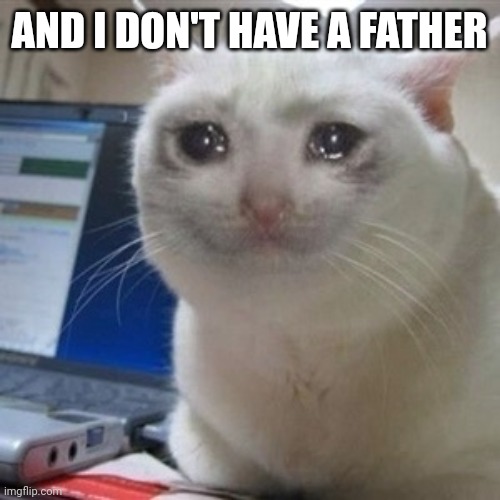 Crying cat | AND I DON'T HAVE A FATHER | image tagged in crying cat | made w/ Imgflip meme maker