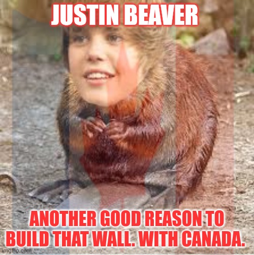 Get the gun | JUSTIN BEAVER; ANOTHER GOOD REASON TO BUILD THAT WALL. WITH CANADA. | image tagged in get the gun,justin bieber,beaver,stop it get some help,build the wall | made w/ Imgflip meme maker