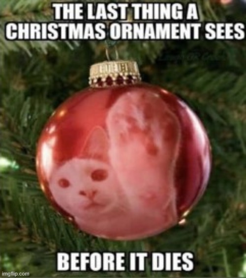 image tagged in christmas | made w/ Imgflip meme maker