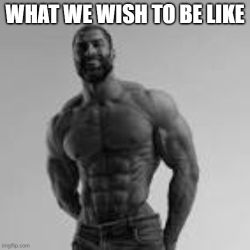 true | WHAT WE WISH TO BE LIKE | image tagged in giga chad | made w/ Imgflip meme maker