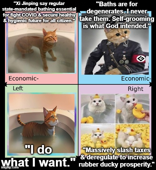 Political compass | "Xi Jinping say regular state-mandated bathing essential for fight COVID & secure healthy & hygienic future for all citizen." "Baths are for | image tagged in political compass | made w/ Imgflip meme maker